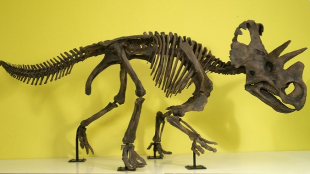 Dinosaur exhibit at the ROM
